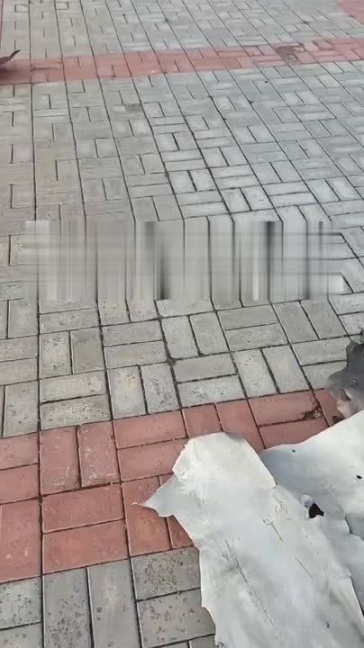 � ������� �������� � ������ �� ��������������� ��������� ����������