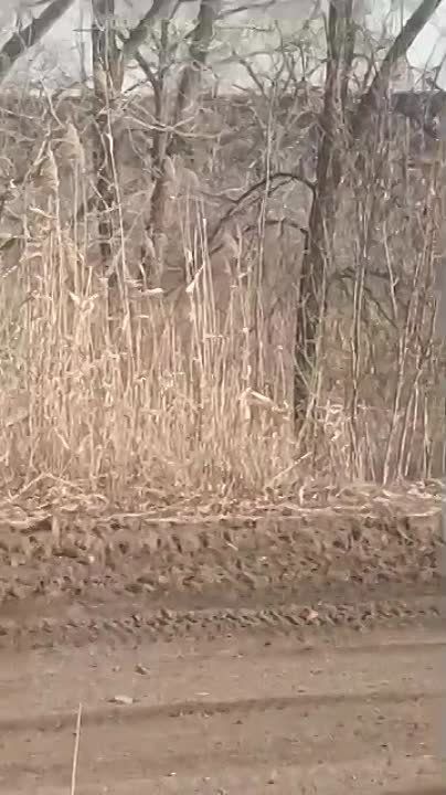 �����-������ ������� ��������� ������������ ������ ������� ����� ������ ��� �������