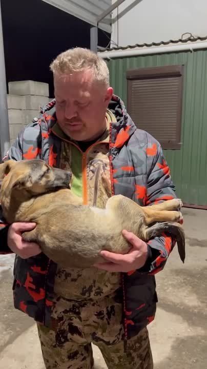 ������� ����������: �������� �������� ������� ��� ������