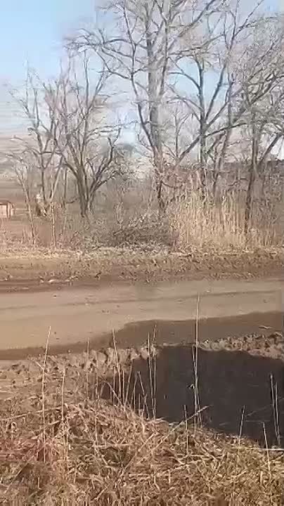 ������� ���������� ���������� ����� ������� ����