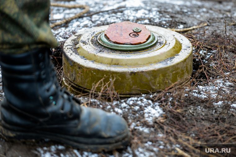 ���������� ���������: ��� ������ ������������ ����� ���� � ���� ���