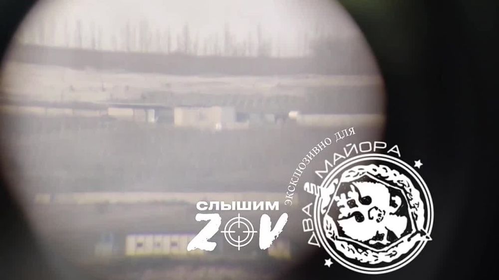 ���������� �����������, �������� ������� 2023 ����