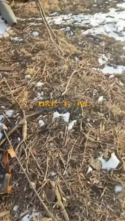 ���������� ���� ����� ��������� � ��������� ������������