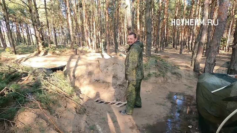 ����� ���������� ������� ����