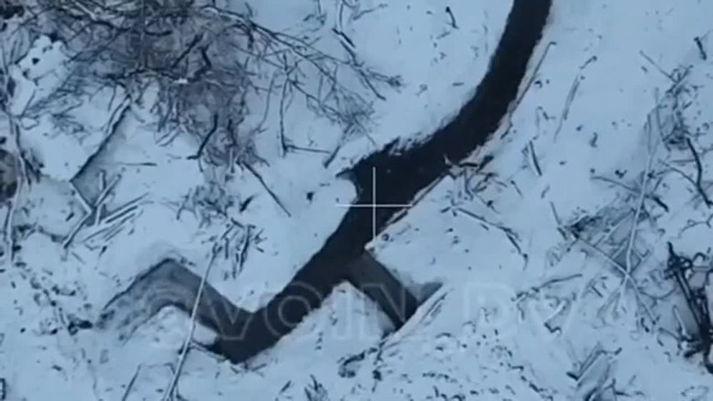 �������� �����: ������� ������-��������� ���� ���������� ��������� "�������" �������� ��� �� ����������� �����������