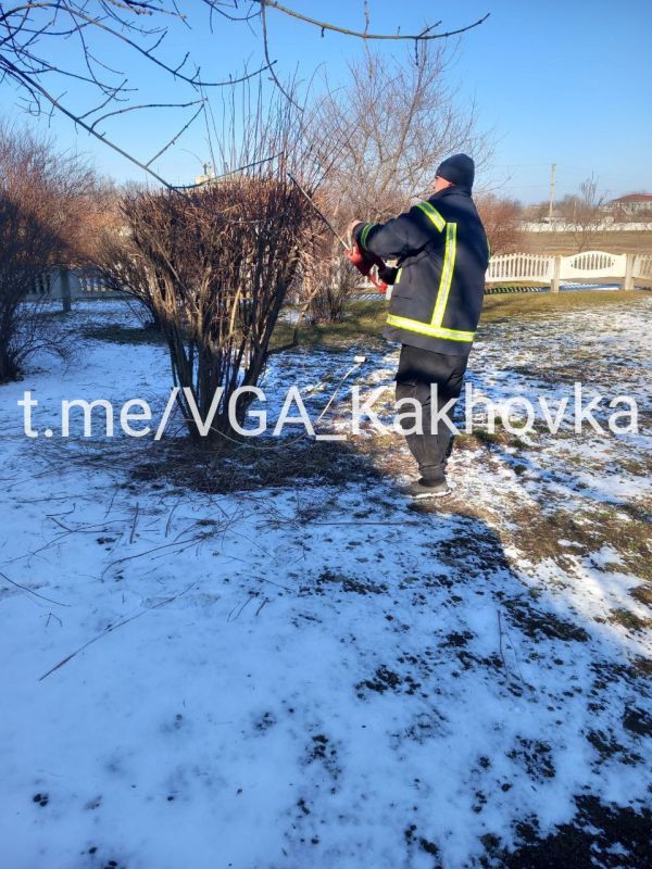 ����������������� �������� ������������ ����������� �����������: