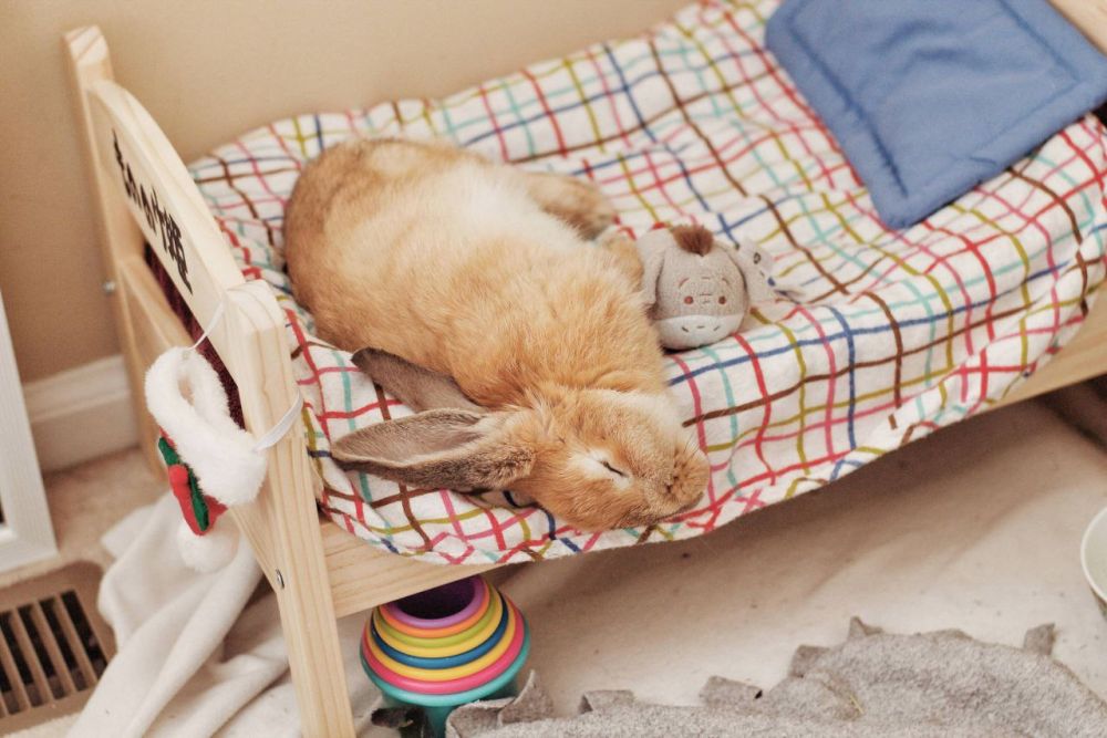 ������ ����.... �� ���������� �����: