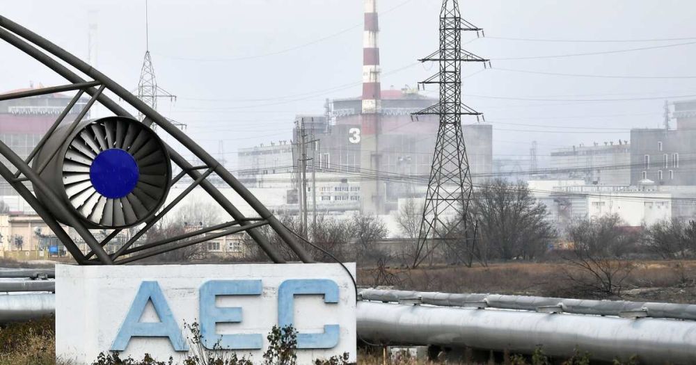 �����: ���� ������� �������� �� ������������� ������ ����