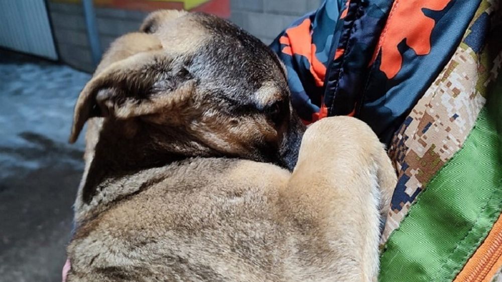 ������� ����� � ��������� � ����������� ������, ����������� �� ���� ������������, ������� � �����