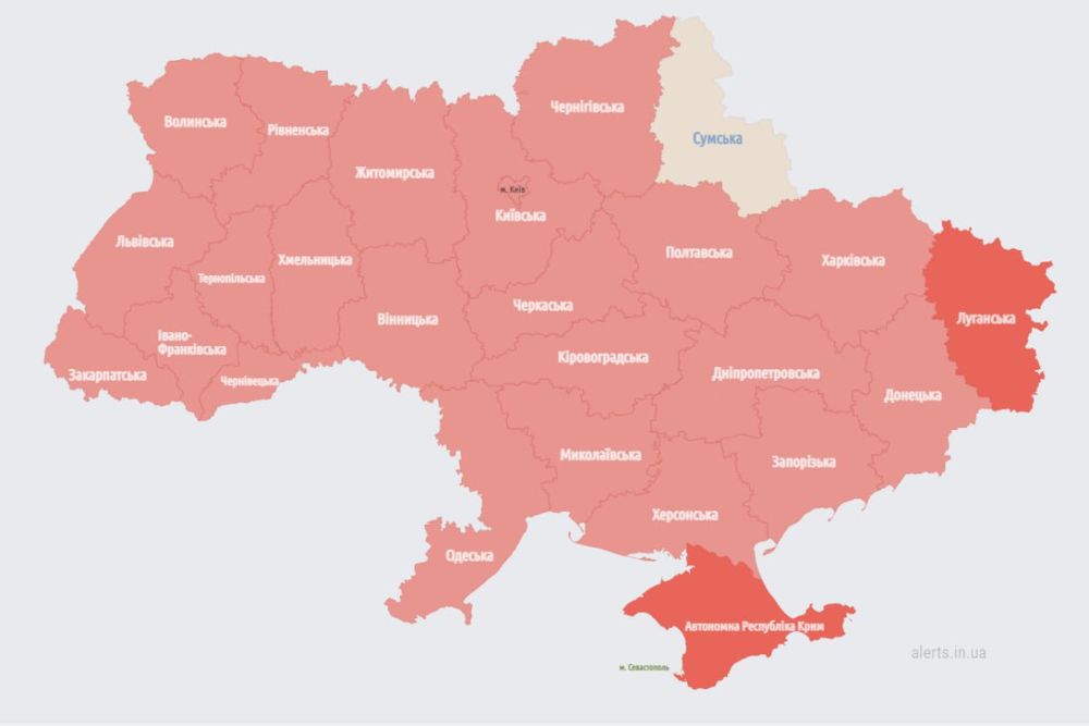 ������ ������ �� ���� �������