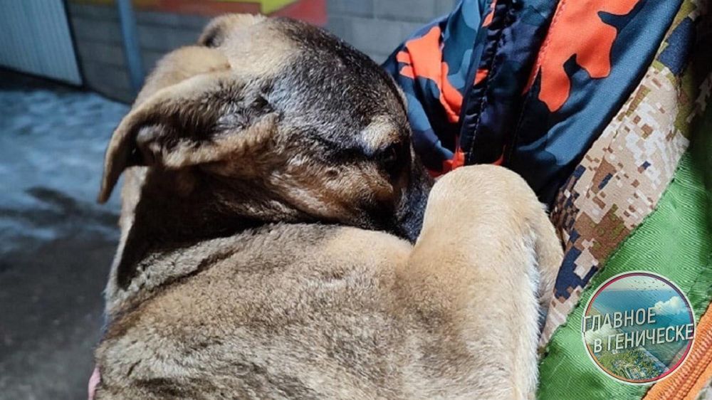 �����, ��������� ��� ������� � ���������� �������, ������� � ����� � ������ �� ����� ������ �� ����