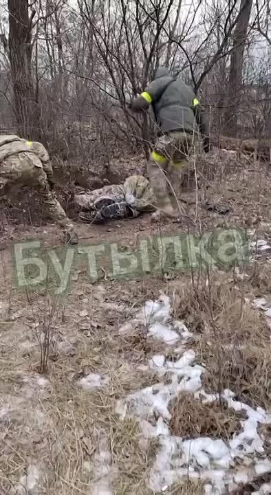 �������� ������� ������ ������ ��������, ������� ��������� ������� � ������� ������