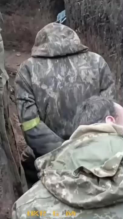 ������������ ���������� ���������� ��� ����� ��������, � ������������� �� �������, ������� ������� ������ �������� ���������...