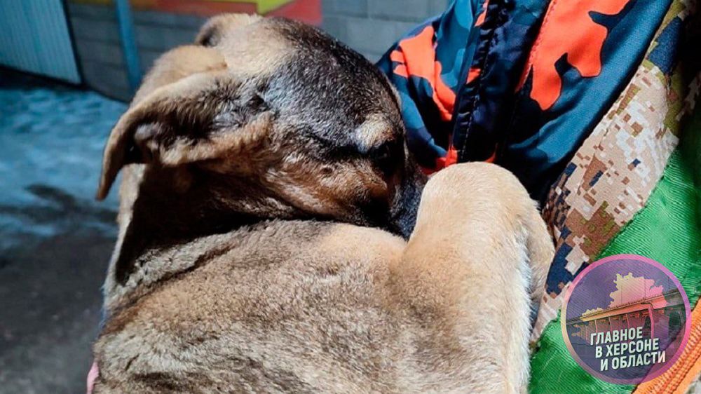 �����, ��������� ��� ������� � ���������� �������, ������� � ����� � ������ �� ����� ������ �� ����