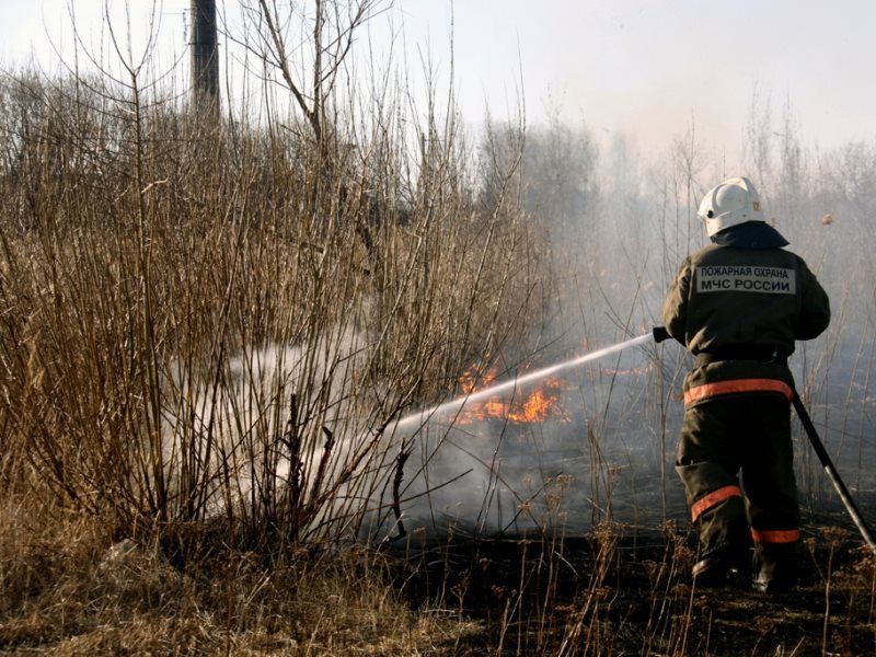 14 ������� � 18:25 �� ����� ������� �������� ������ ����������� ������ ��������� ���������� � ������ �� �������� ���������� �� ��. ���������� � �. ������������