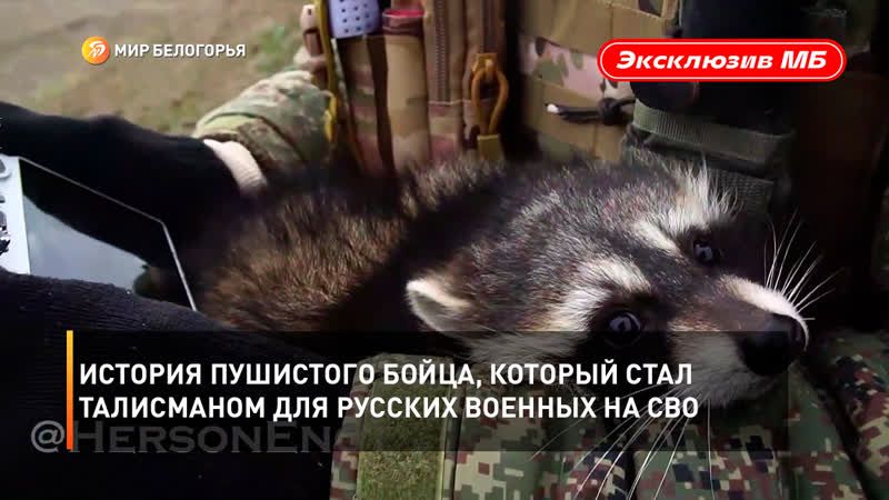 ���� �� �������: �������� ������ ������������.