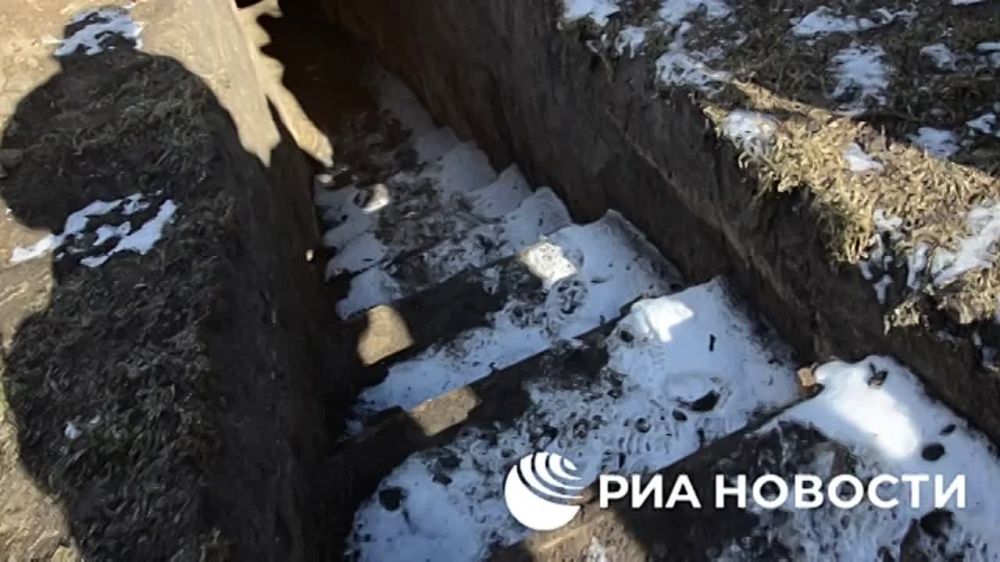 ����� ��� ������� � ���������� ������� �� ������ ���������� �������������: �������� ����������, ����� ������� � ���������� ����� ����������