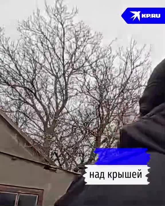 ������� ���: ������������ ����������� �����