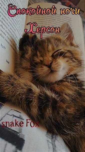 �� ���������� �����:. @NSDVKhersone