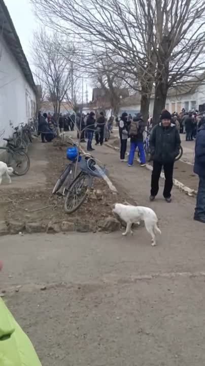 ������� � ������� �� ������������ ������� ��� �� ������ ���� ��� ���������� ������