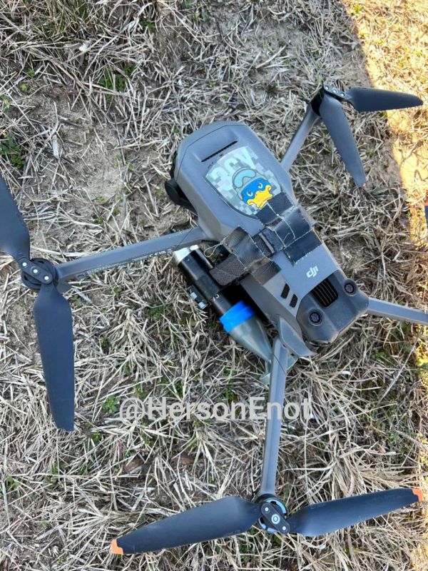 ���� �� �������: ������� � ������. ��� ��� ��������� ������ �������� �� ����� ������ ������