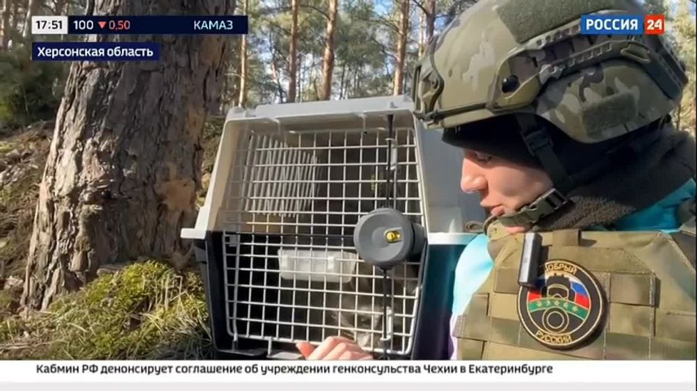 ���� �� �������: ��� ���, �����������, ����� ���� ������������ �� ������ 24