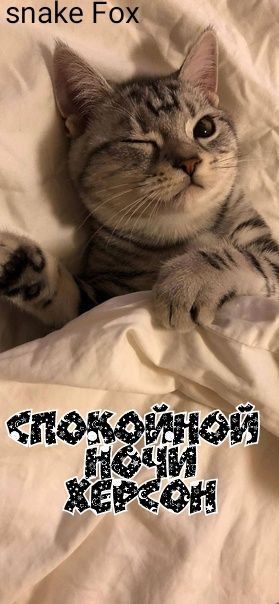 �� ���������� �����:. @NSDVKhersone