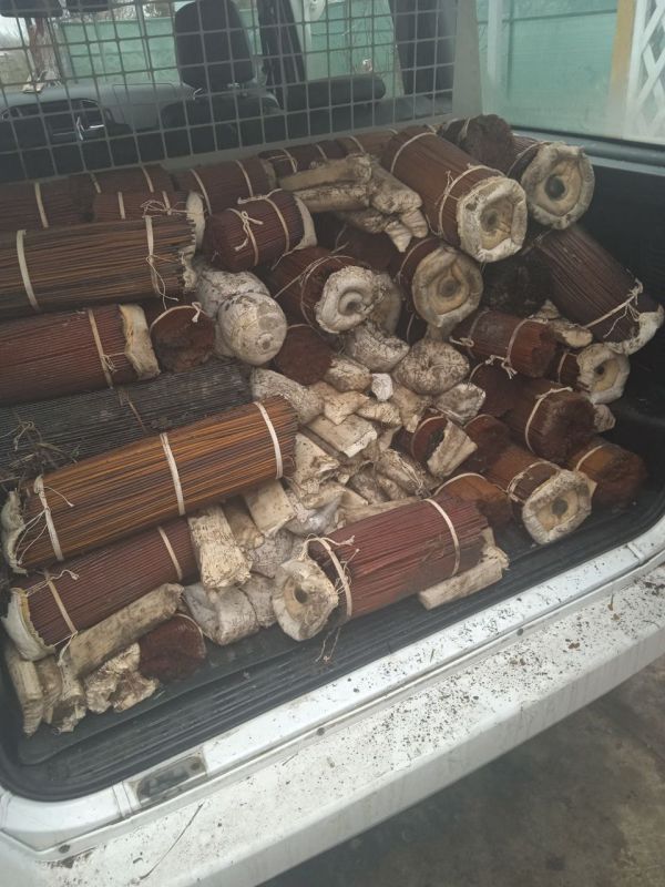 ��������� �����, � ������� ������� ����� ����������, �� ��� �� ������� ���������� ����������, �� ��������