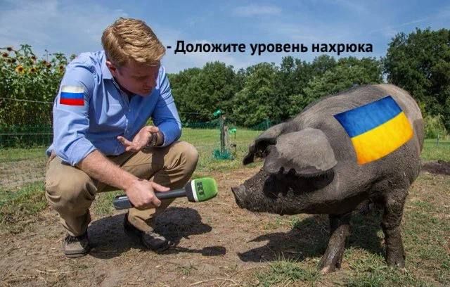 ����� ����������� ���������� �� 59-� ���������� ����������� �� ������� ������ ��������� ������������ � ���, �� ��� ����� �������� ��������� ����� ��������� ���� �� ����� ���������������, � �� ����, ��� �� ������� ���� ��������