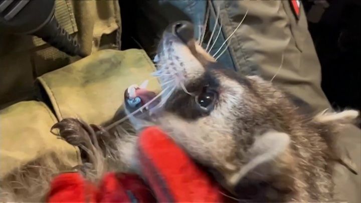 ���������� "�������� ���������" ����� ������������