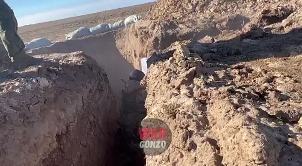 WarGonzo: �������� �� ����� �������� �������� ��-�������