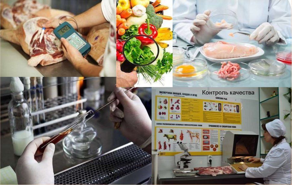 � ����� ������� ���������� � ������������ ��������� ��������� � ������ ��������� �� ��������, ����� ��� �������� � �������� � �������� ��.21 ������ ���������� ��������� �� ����������� �� 14.05.1993 � 4979-1 (���