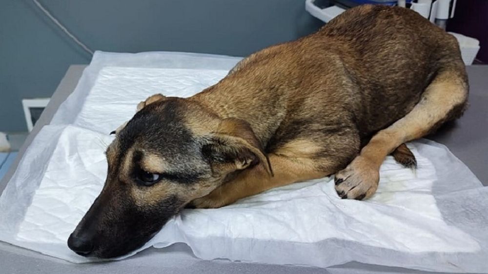 � ������� �����, �������� ������� � ���� ��-��� �������� � ���� ���, ���� ������ ������ �� ����