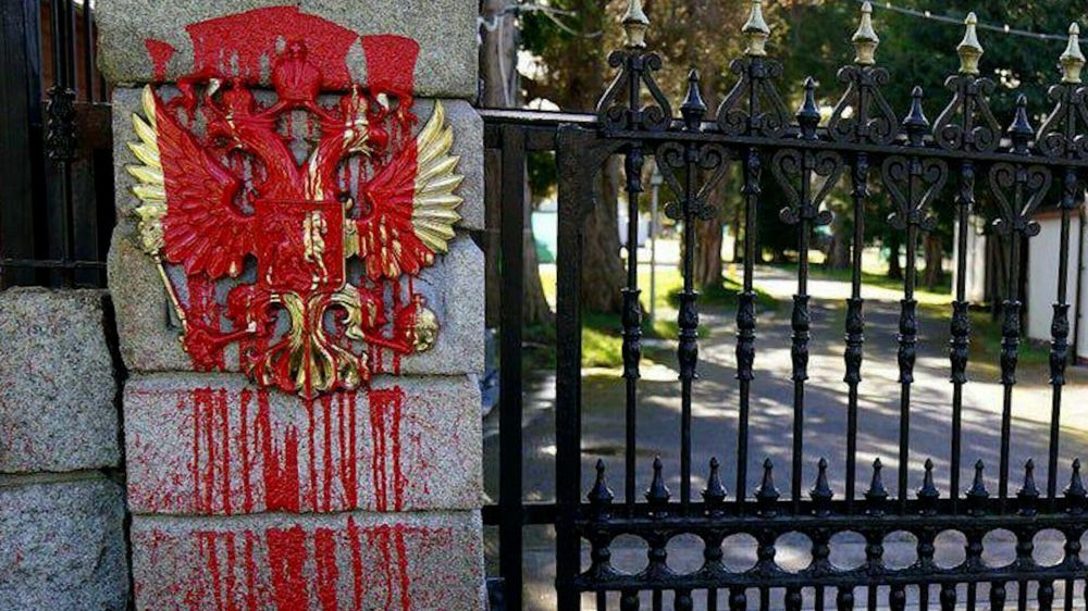 ������ LIVE. ������ �������