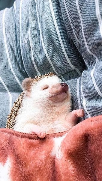 ��������� ���� ������. �� ���������� �����: