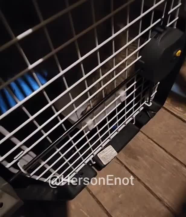 ���� �� �������: � ��� ��� � ����� ���� ������, ����� ��� �������