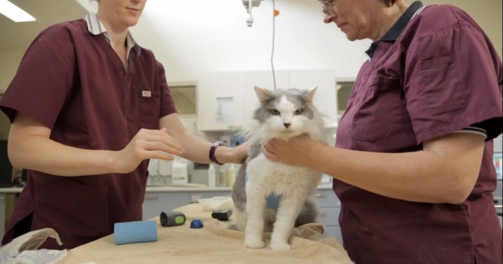 �� ���������� ���������� ������� ������ ������ ������ ������������ ���������