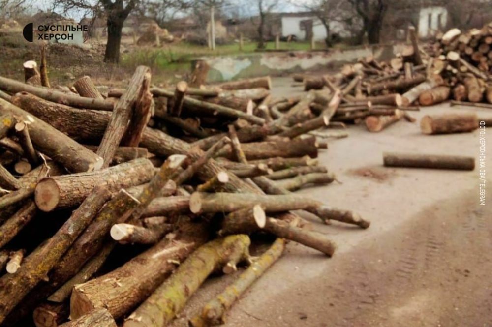 117 ���������� ���� �������� ��� ������� ��� ������������� ������