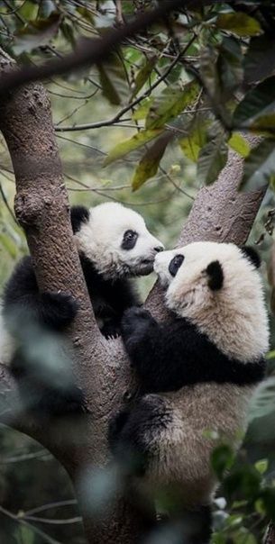 ��������� ���� ������. �� ���������� �����: