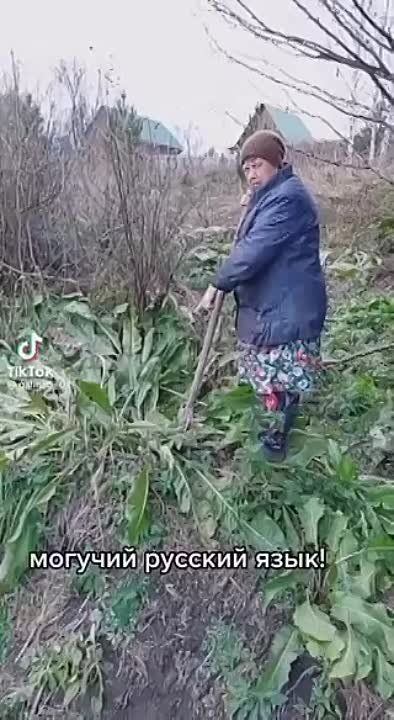 ������� ����� � �����. �� � ������ ���� � ��������� �������� �����. ������ ��� �� ���� ������ �� �������, � �� ������, �����...