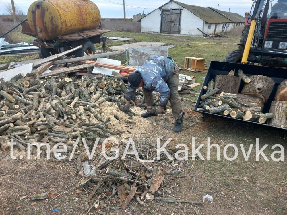 ����������������� ������������ ����������� �����������: