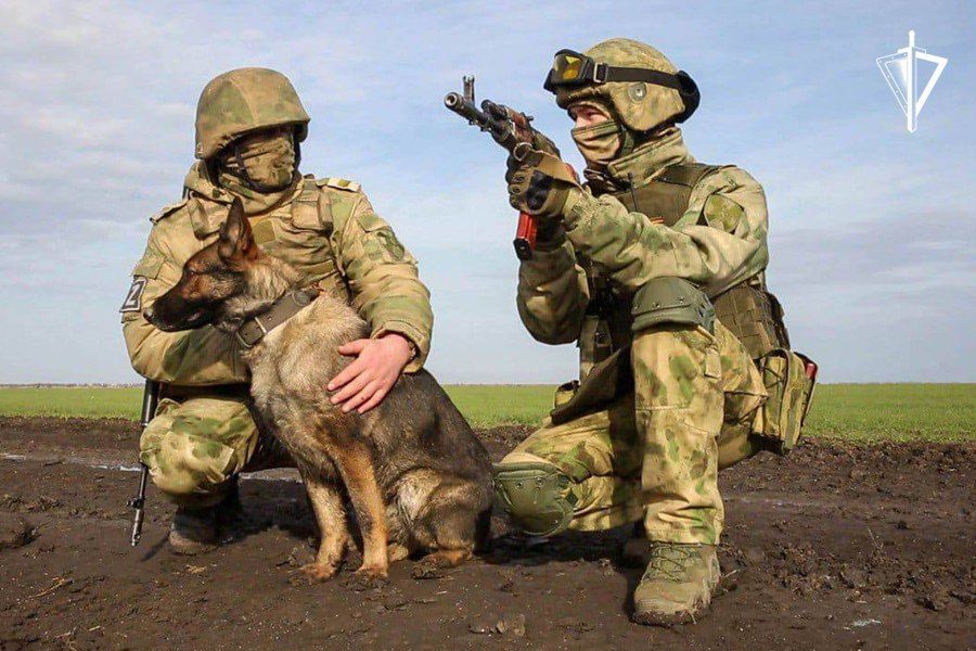 � ����������� � ���������� �������� �������������� ���������-�������� ������������� ���������� �� ������ ���������� � ���������� ����� 200 ������������� ���������