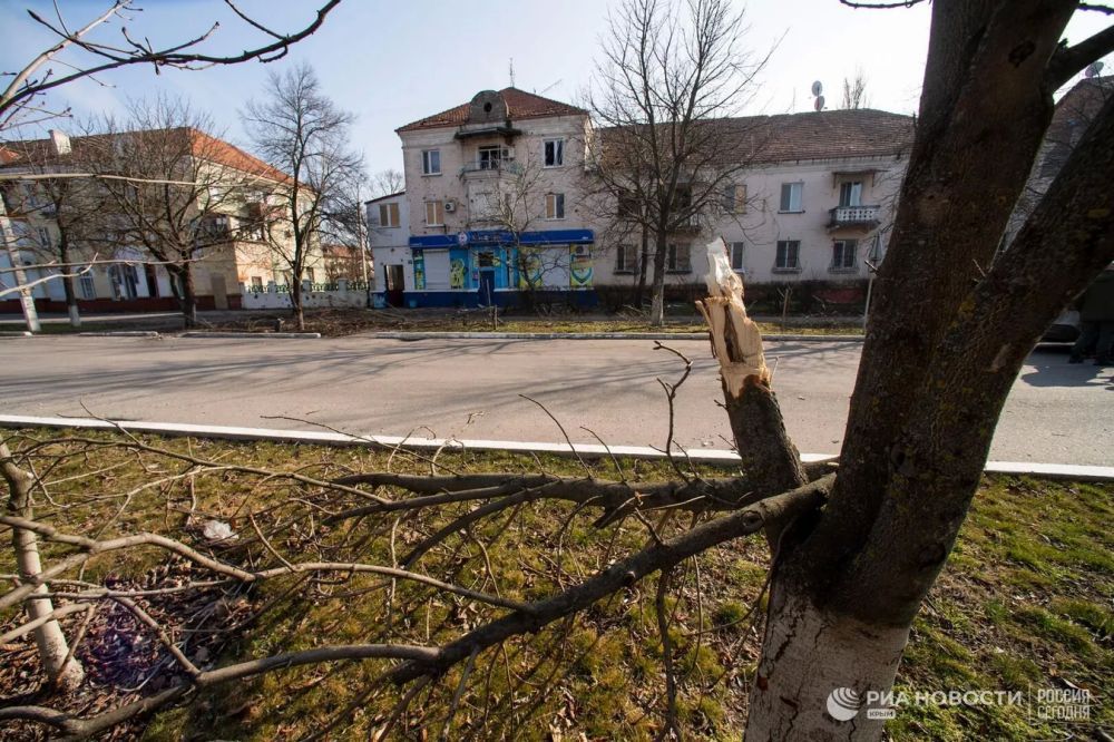 ��� ����� ����� ������� - ������������