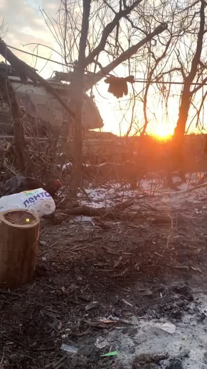 ���������� ����� ��������, ��� ����� ������ ��� �� ������ ������