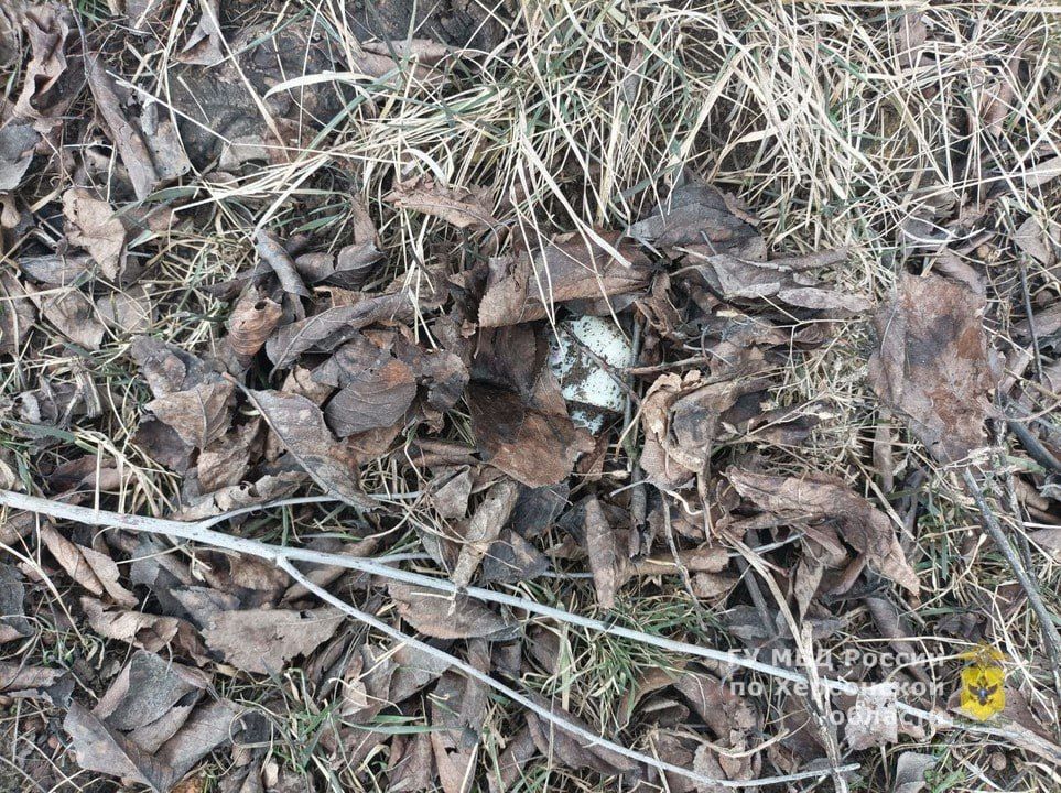 ����������� ������� ������ � ������ ��������� ���������� ���������� � ���������� ��