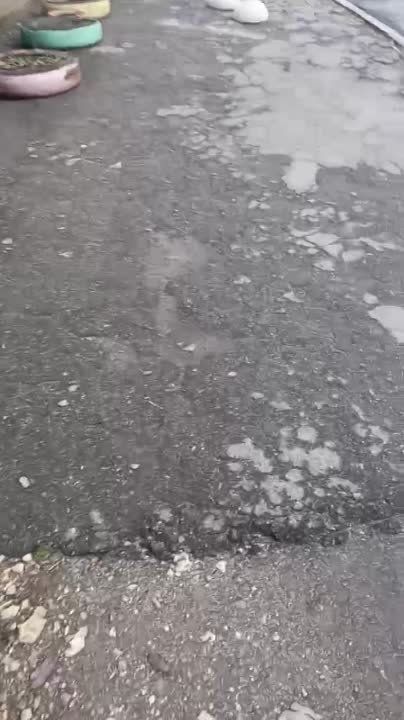 �������� ��������: ��� ������� � ������� � �������