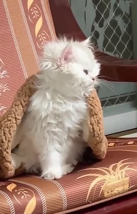 ���� ������� �����-�� ������, ���� ���������, ��� ����-�� �������