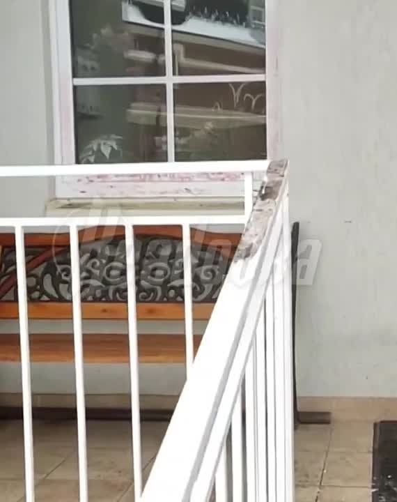 ����� ��������, ��� �������� ����� ����������, � ����� ������� ���������� �������