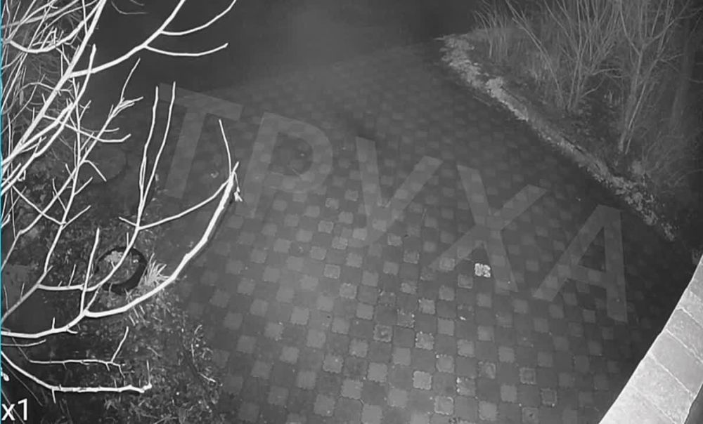 ������� ������ � �������� ��������� � ���� ��� �� ���� � 19 �� 20 ������� 2023 ����