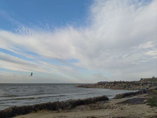 ��������� �� ������� ��������� ����� ���������-�������������� �������������� ����� ��������